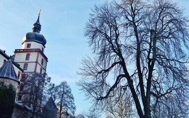 Würzburg, Festungsturm und kahler Baum