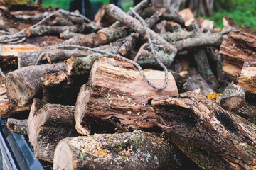 Pickup truck fully loaded with olive tree chopped firewood logs, preparing of woods for fireplace before the winter in Greece, Ionian see islands