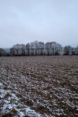 Obraz premium Hochformat: Landwirtschaft / Acker / Feld im Winter bei Frost - dahinter eine Hecke / Bäume