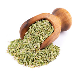 Fennel seeds in wooden scoop, isolated on white background. Green fennel grains. Spices and herbs.