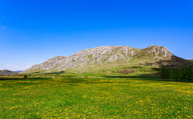 Panorama of Piatra Secuiului (Szekelyko) Mountain in the Romanian Carpathians. Rimetea limestone ciff with green grass.
