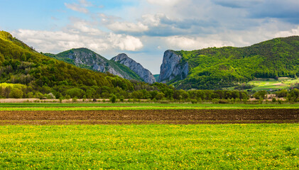 Vălişoara gorge panorama with green fields in the foreground in Alba county, Apuseni Mountains, Romania