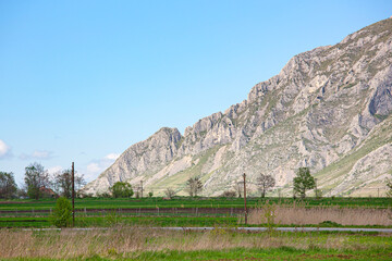 Limestone mountain slope detail in the Romanian Carpathians - Piatra Secuiului Rimetea, Romania.