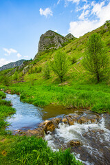 Green landscape in Trascau mountains canyon, Vălişoara gorge in eastern Apuseni Mountains, Romania
