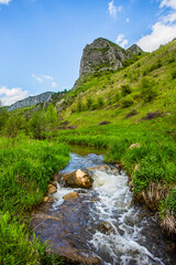 Green landscape in Trascau mountains canyon, Vălişoara gorge in eastern Apuseni Mountains, Romania