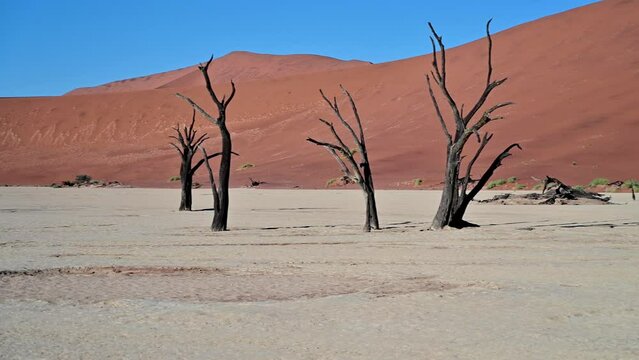 Beautiful view of Deadvlei near Sossusvlei in Namibia
