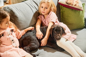 Two lovely little girls, children playing, hugging purebred dog, brown labrador at home. Daytime rest