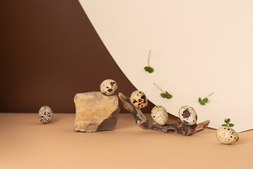 Quail eggs are rolled from a stone onto a wooden stick on a paper pastel background. Small green...