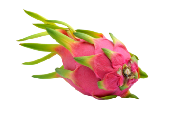 dragon fruit on transparent png