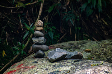 stones in the forest