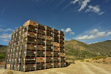A tower of fruit crates stacked on an open field between mountains
