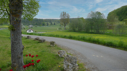 Fototapeta na wymiar Rad- und Wanderweg in einer herrlichen Heckengäulandschaft im Frühling 