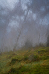 Digital oil painting of woodland winter mist and fog at The Roaches, Staffordshire.