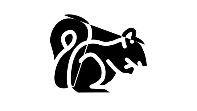 squirrel wild animal line icon animation