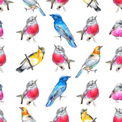 Seamless potter with drawings of multi-colored birds on the white background