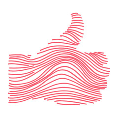 Hand drawn doodle graphic line elements