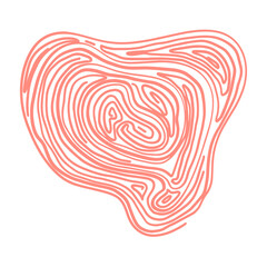 Hand drawn doodle graphic line elements