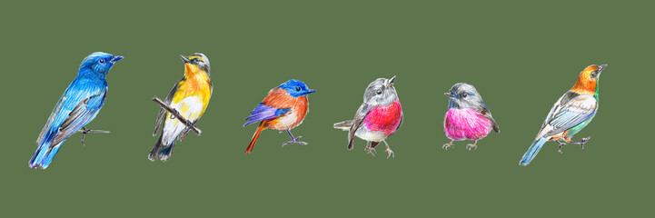 Seamless potter with drawings of multi-colored birds on an olive background