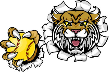 A wildcat or bobcat animal softball sports team cartoon mascot