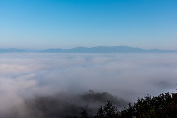 Fototapeta na wymiar 雲海（sea of clouds）
