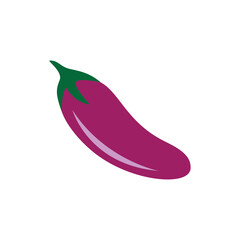 eggplant icon vector illustration design