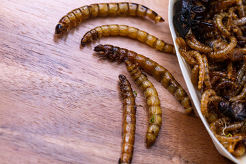 Fried wood grubs and mealworms on a wooden chopping board. Fried insects as a source of protein in...