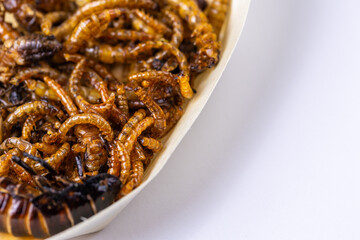 Fried wood grubs, mealworms and cockroach on a wooden tray on white background. Fried insects as a source of protein in the diet.