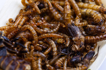 Fried wood grubs and mealworms on a wooden tray on white background. Fried insects as a source of protein in the diet.