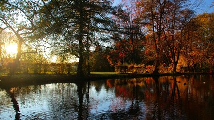 Fototapeta premium See