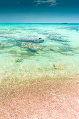Plaid avec motif  Plage d'Elafonissi, Crète, Grèce Amazing pink sand beach with crystal clear water in Elafonissi Beach,  Crete, Greece