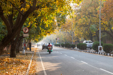 Roads of Chandigarh in the Fall