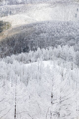 冬の長野県白馬村の雪景色
