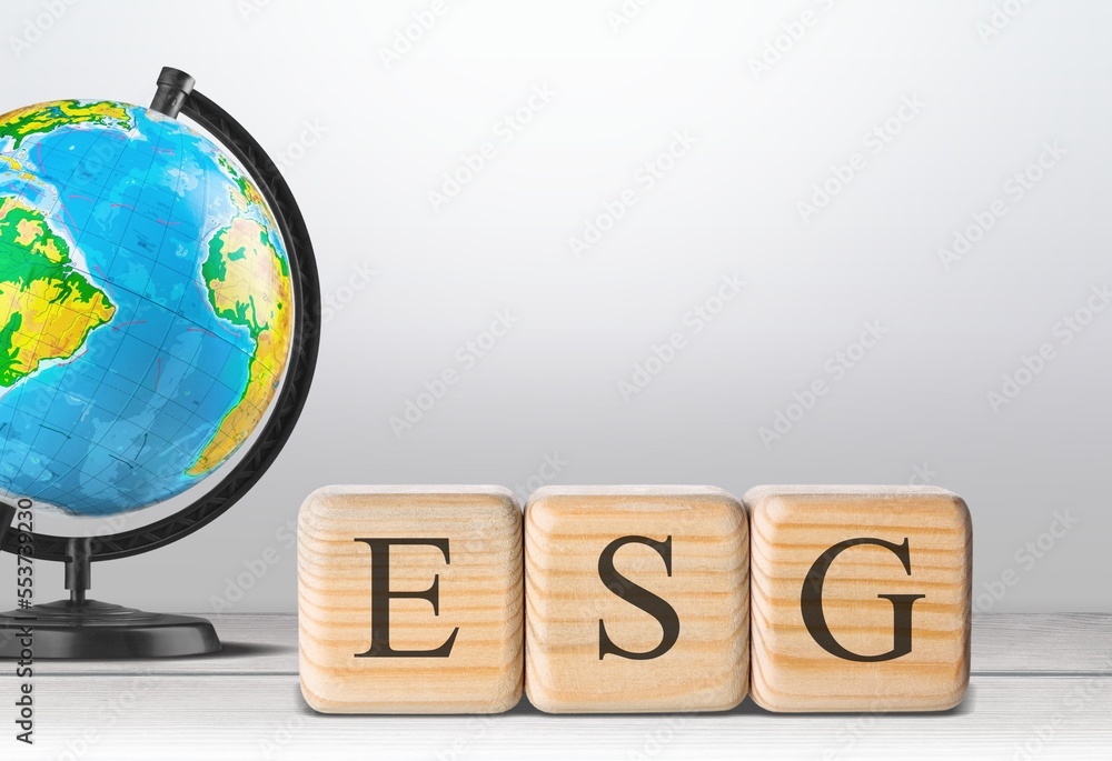 Canvas Prints ESG Concept on cubes and studing globe