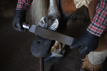 male hands blacksmith in black gloves file cleans on iron horseshoe on horse's hoof close up