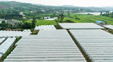 Aerial view of greenhouses in the field