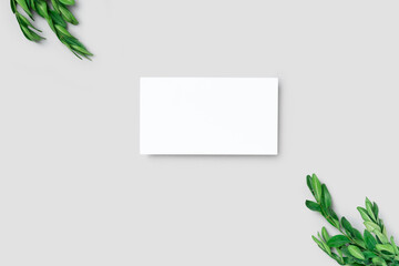 Mockup one cutaway, discount, business card on a grey minimalism background and green leaves branch with copy space. Template for design