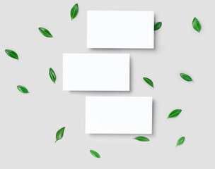 Mockup three cutaway, discount, business card on a grey minimalism background and green leaves branch with copy space. Template for design