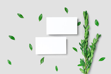 Fototapeta na wymiar Mockup one cutaway, discount, business card on a grey minimalism background and green leaves branch with copy space. Template for design