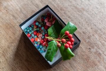 箱に入った美しい植物の実（Beautiful plant seeds in the box）