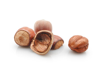 Hazelnuts in shell and peeled kernel isolated on white background	  