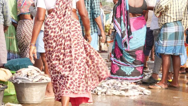 Large quantity of fishes on ground and woman carrying fishes in a pan - Chirala Fish Market, AP,India - Dec 2022
