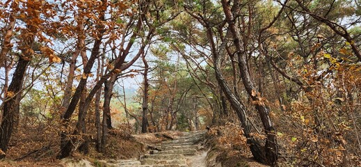 magnificent mountain landscape. Hiking and mountaineering. Mountain paths and stone steps. peak. Seasons in the mountains: autumn - winter - spring - summer. Hiking in the mountains