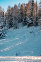 Paisagem coberta de neve no alpi di siusi na regi&atilde;o das Dolomitas em Ortisei na It&aacute;lia