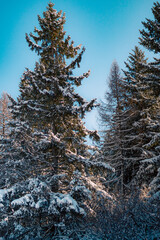 Paisagem coberta de neve no alpi di siusi na região das Dolomitas em Ortisei na Itália