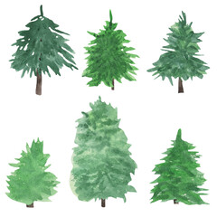 Watercolor drawing fir trees silhouettes isolated at white background, natural elements, hand drawn illustration