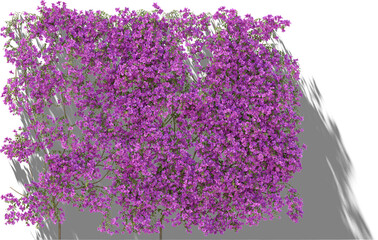 wall climbing plant shadow 50% arch viz hq cutout