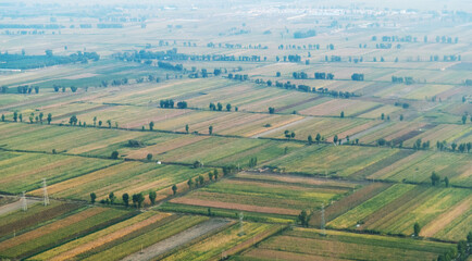 Aerial view of agricultural fields before harvest at summer
