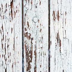 texture of old wood. white paint has come off. Square image.