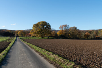 Fototapeta na wymiar Felder in der Wetterau, Hessen