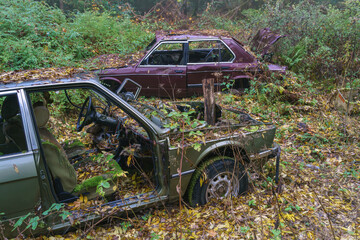 Alte Schrottautos im Wald abgestellt